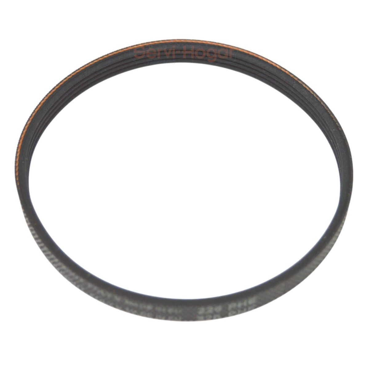 Correa Secadora BEKO 226 4 PHE 491500301 1